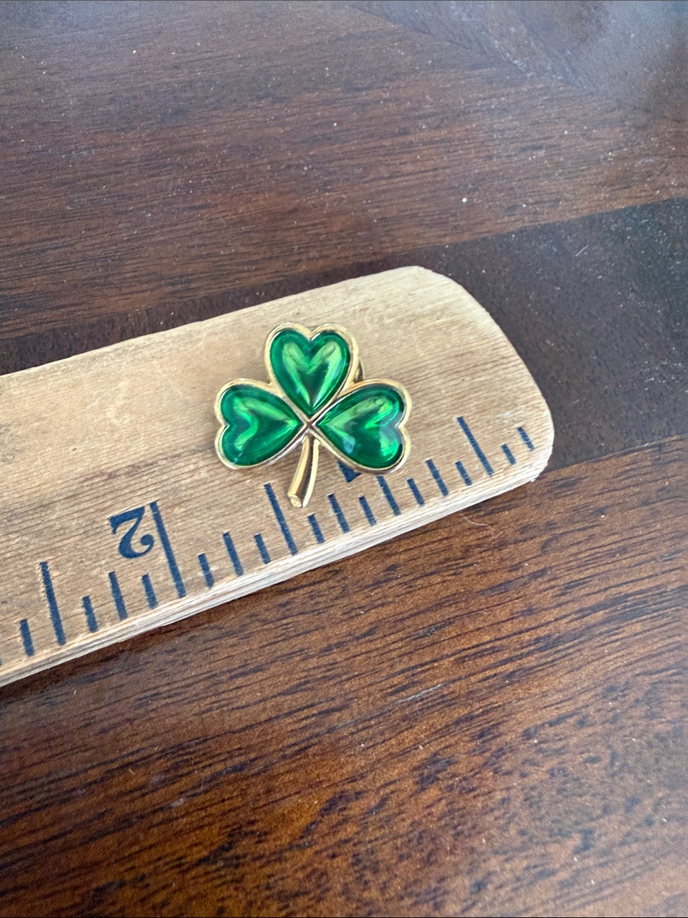 Vintage Lucky Charm Pin